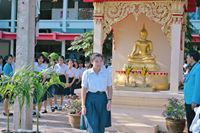 จอย ทาสแมว