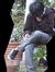 Ridho
