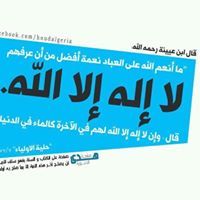 ابوالحارث عمر