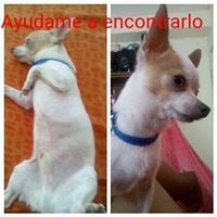 Yezz Garrido Jimenez