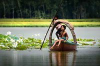 Shariar Uddin