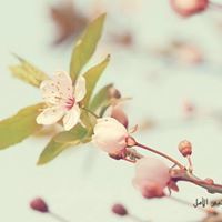 منيرة بن هملان