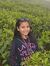 Ruchi S...
