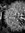 Annie | 89 comments