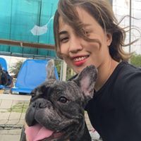 Hải Hà