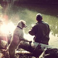 Димитър Стефанов