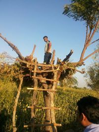 Shrikrishna Jagdale