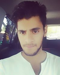 Salman Ansari