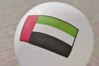 ابراهيم الشحي