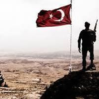 Yiğitcan Mertoğlu