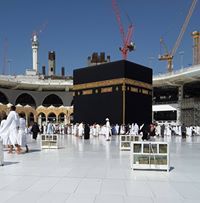 بالقرآن نحيا