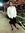 Seif Tarek