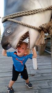 Sheena Cook-Fuglsang