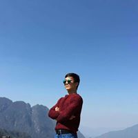 Le Anh