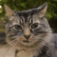 عبدالله الرماغه