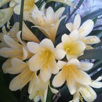 Bernadette Dinkelmann