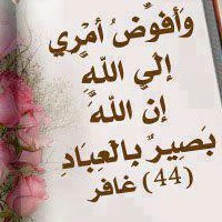 Hoda Elmaghrpy