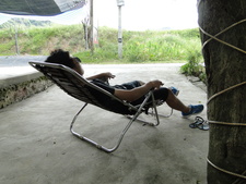 Huy Peter