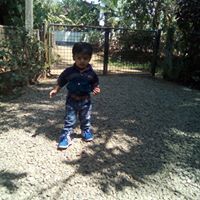 Lalettan Anand