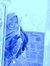 Anis Wi...