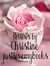 Christine~justlovemybooks.com blog~