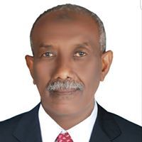 حامد سيد احمد