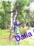 Dalia J...