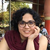 Irans Mansoori
