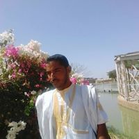 محمد أحمد محمود