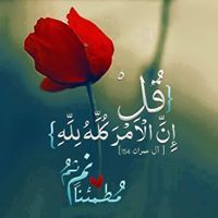Mohamed Shawky