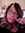 Ava Alise (goodreadscomava_alise) | 2 comments