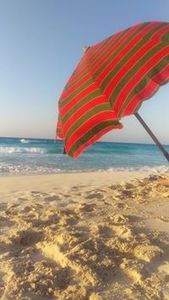 الشيماء محمود