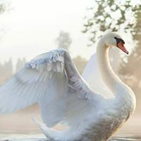 Юлия Макущенко