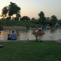 Ahmed Awad
