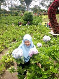 Almira Hapsari