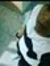 Janer R...