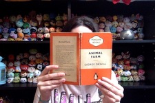 Hannah  The Dyslexic Reader