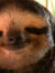 Tomáš