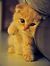 Yashna ...
