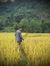 Duy Pham