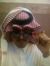 علاوي ا...