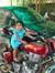 Bijoy M...