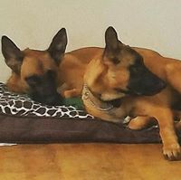 adam.casper24gmail.com