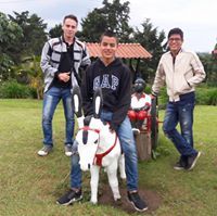 Fabian Bernal