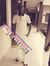 Abdulla...