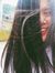 Anh N