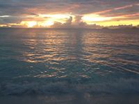 Светлана Буряк