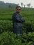 Prabhay...