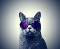 Michael Van Breukelen