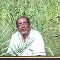 سهيل اليماني